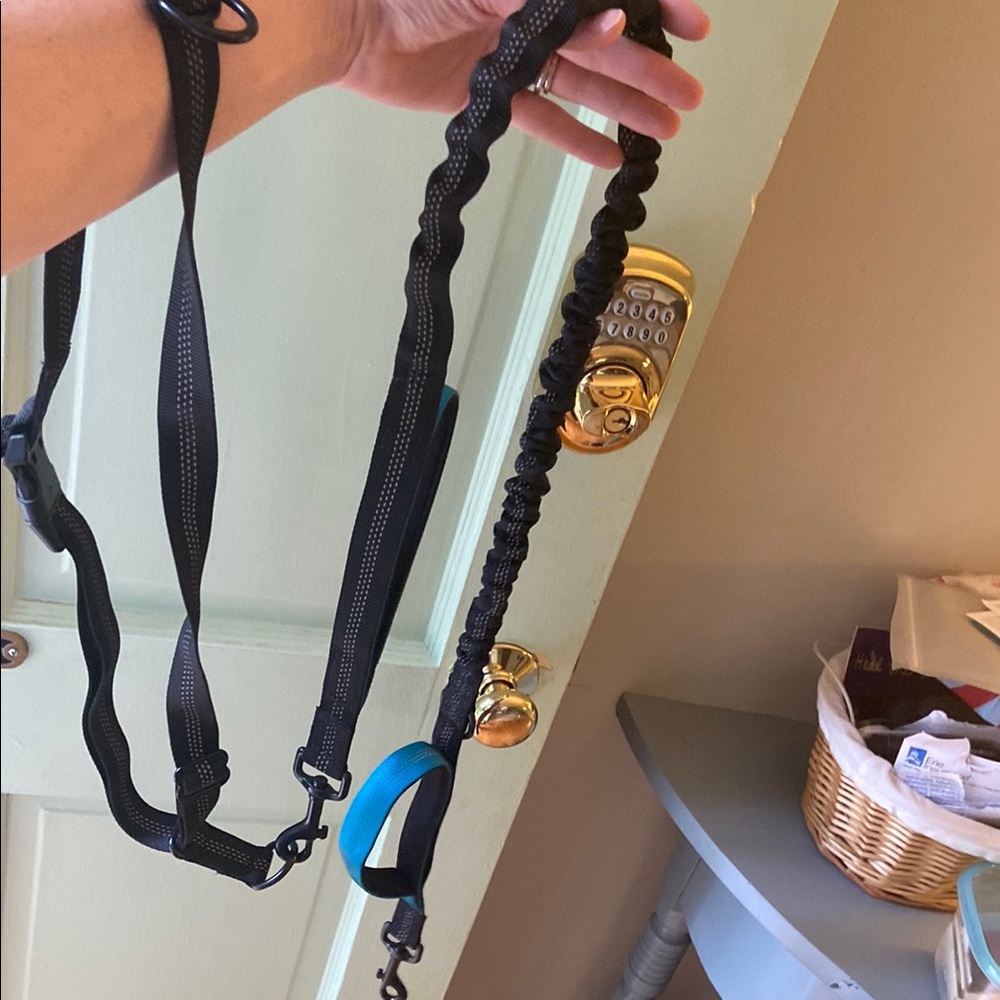 Hands Free Bungee Dog Leash